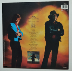 Винтажная виниловая пластинка LP Stevie Ray Vaughan And Double Trouble Couldn't Stand The Weather (Holland 1984)