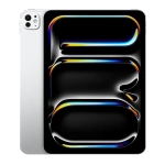 iPad Pro 11 M4 (2024)