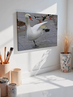 Картина на стену 40 X 50 Лебедь