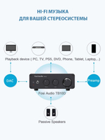 Fosi Audio TB10D Усилитель мощности 300W