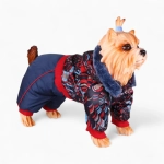 Комбинезон «Modern boy»