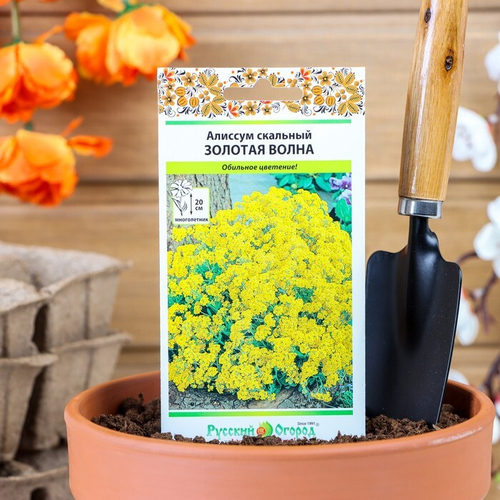 СЕМЕНА АЛИССУМ ЗОЛОТАЯ ВОЛНА СКАЛЬНЫЙ 20СМ М 0,1Г