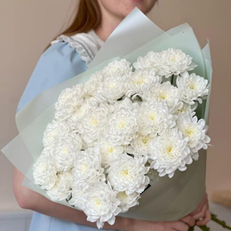 Хризантемы