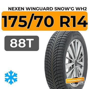 Nexen Winguard Snow'G WH2 175/70 R14 88T XL