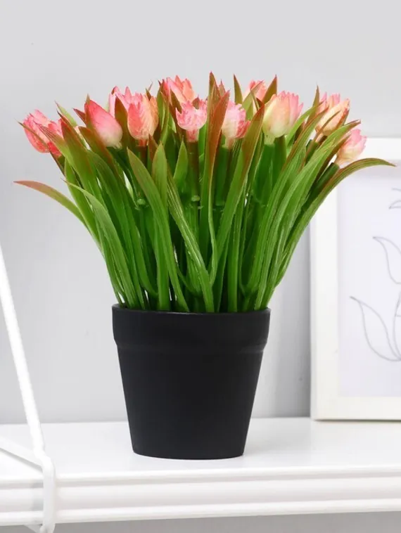 Бонсай в горшке "Тюльпаны" 9х19 см, микс