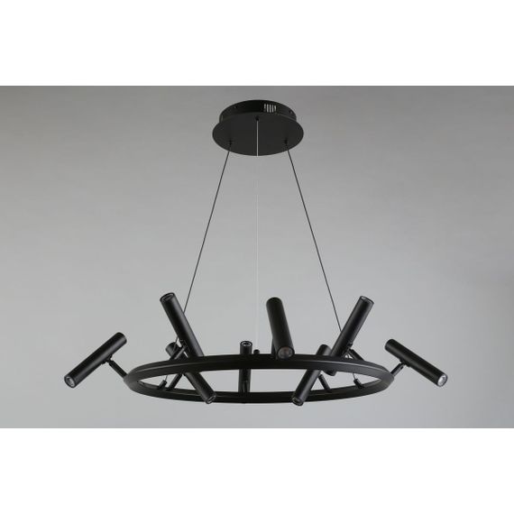 Подвесная светодиодная люстра Aployt Honor APL.067.03.40