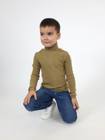19-06-3 Джемпер для мальчика