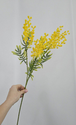 Мимоза / Арт 2378