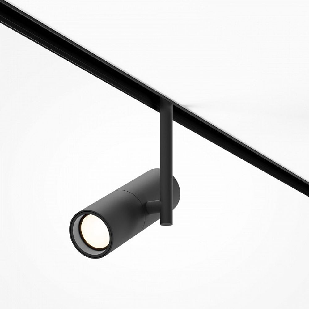 Светильник на штанге Maytoni Elti TR005-4-12W-DS-B