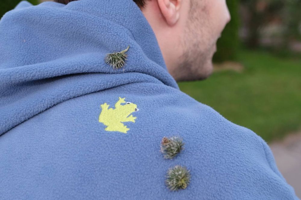 Худи Смерч флисовая Лягушка светло-синий