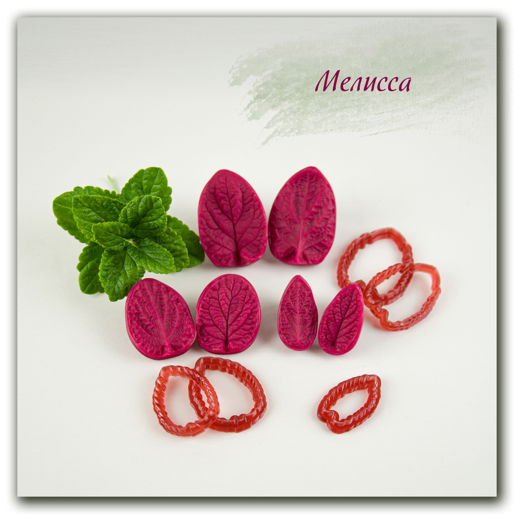 вайнеры и каттеры листьев мелиссы