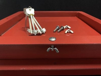 Антивандальная защитная дверка на силомер Rocky Boxer