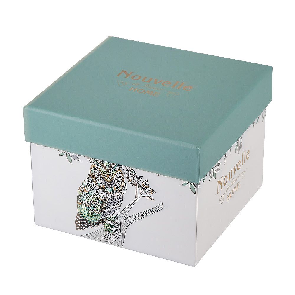 Кружка "Сова" v=430мл (фарфор) (подарочная упаковка)