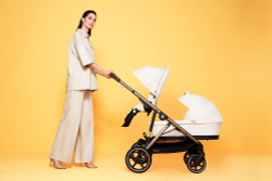 Прогулочная коляска Cybex Gazelle S