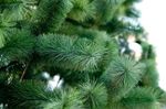 Сосна уличная искусственная "Уральская" каркасная 50 м