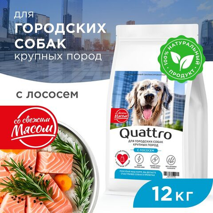 Корм сухой для взрослых собак крупных пород, премиум полнорационный комплекс, для городских собак, с лососем, 12 кг, QUATTRO