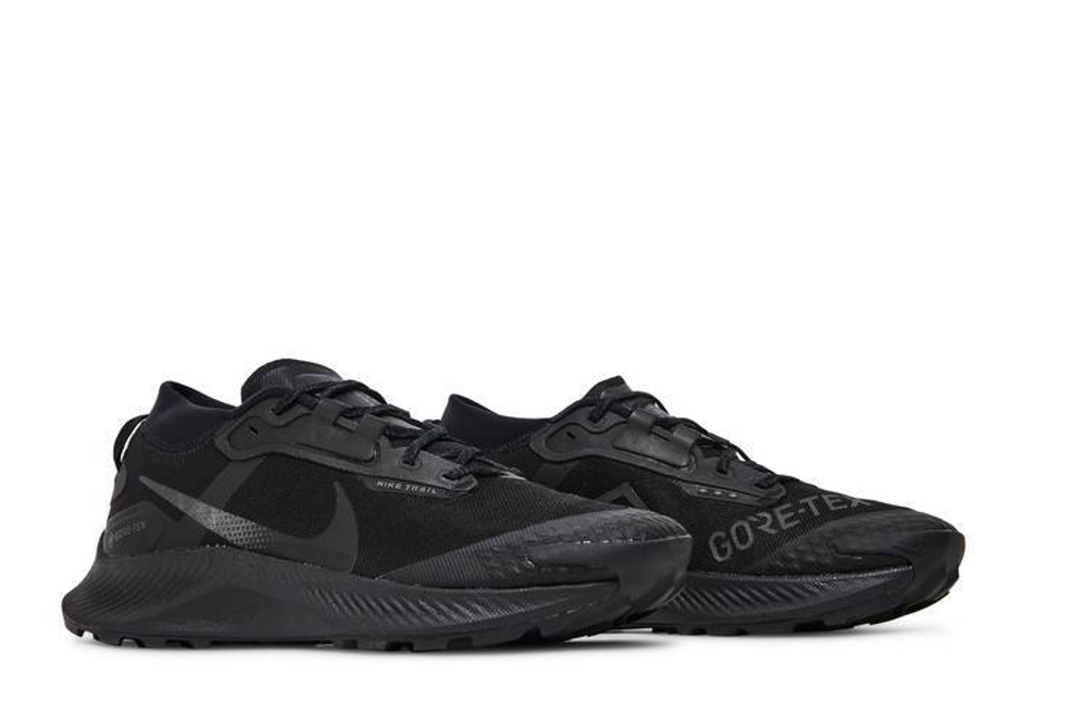 Кроссовки Nike Pegasus Trail 3 Gore-Tex "Black"
