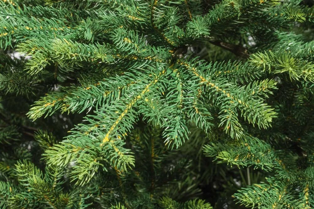 Ель искусственная Царь елка Диамант 210 см ДМН-210