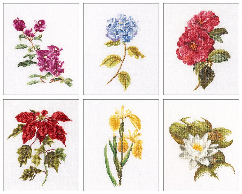 Набор для вышивания Thea Gouverneur  &quot;Шесть цветочных мотивов&quot;