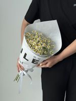 Кулек из ромашек