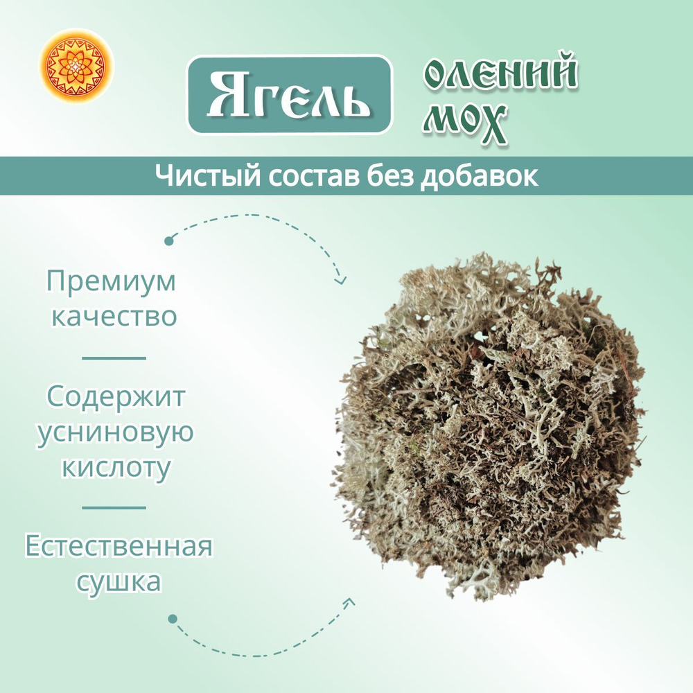 Исландский мох цетрария, 100 г.