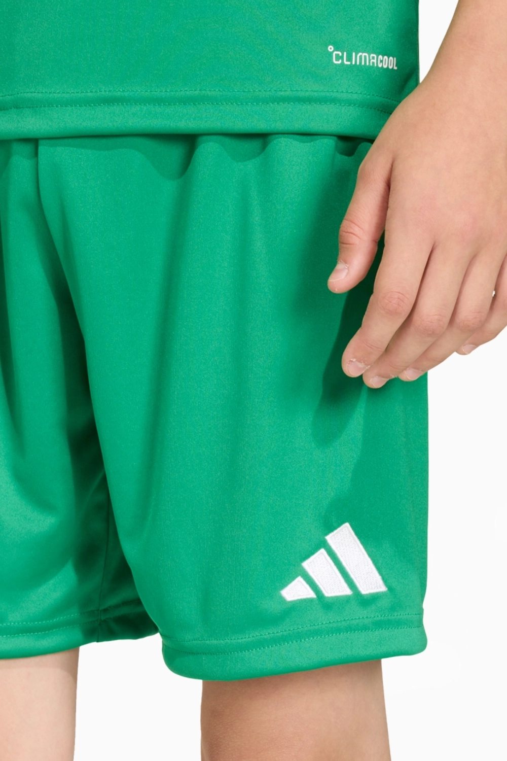 Шорты adidas Entrada 26 Junior - зеленый