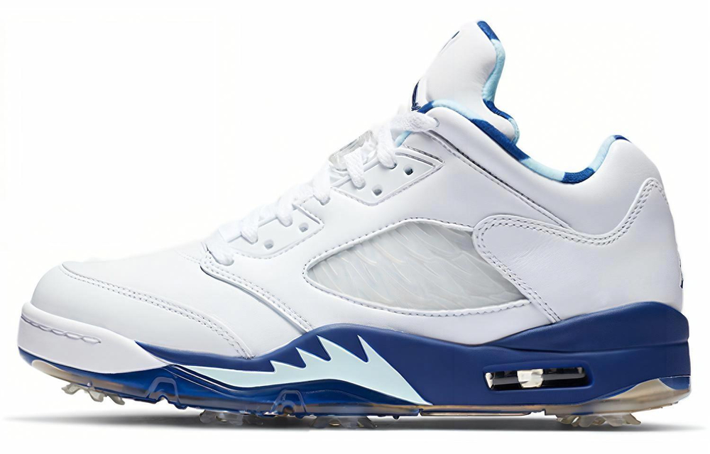 Кроссовки Jordan Air Jordan 5 Low Golf "Grape Ice"