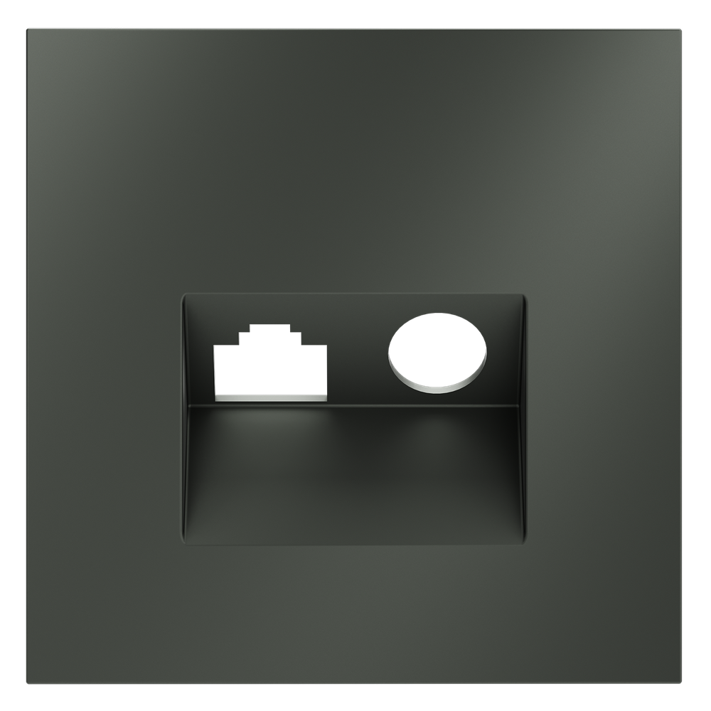 Накладка для розетки TV+RJ45 кат. 6, S70 (титан)