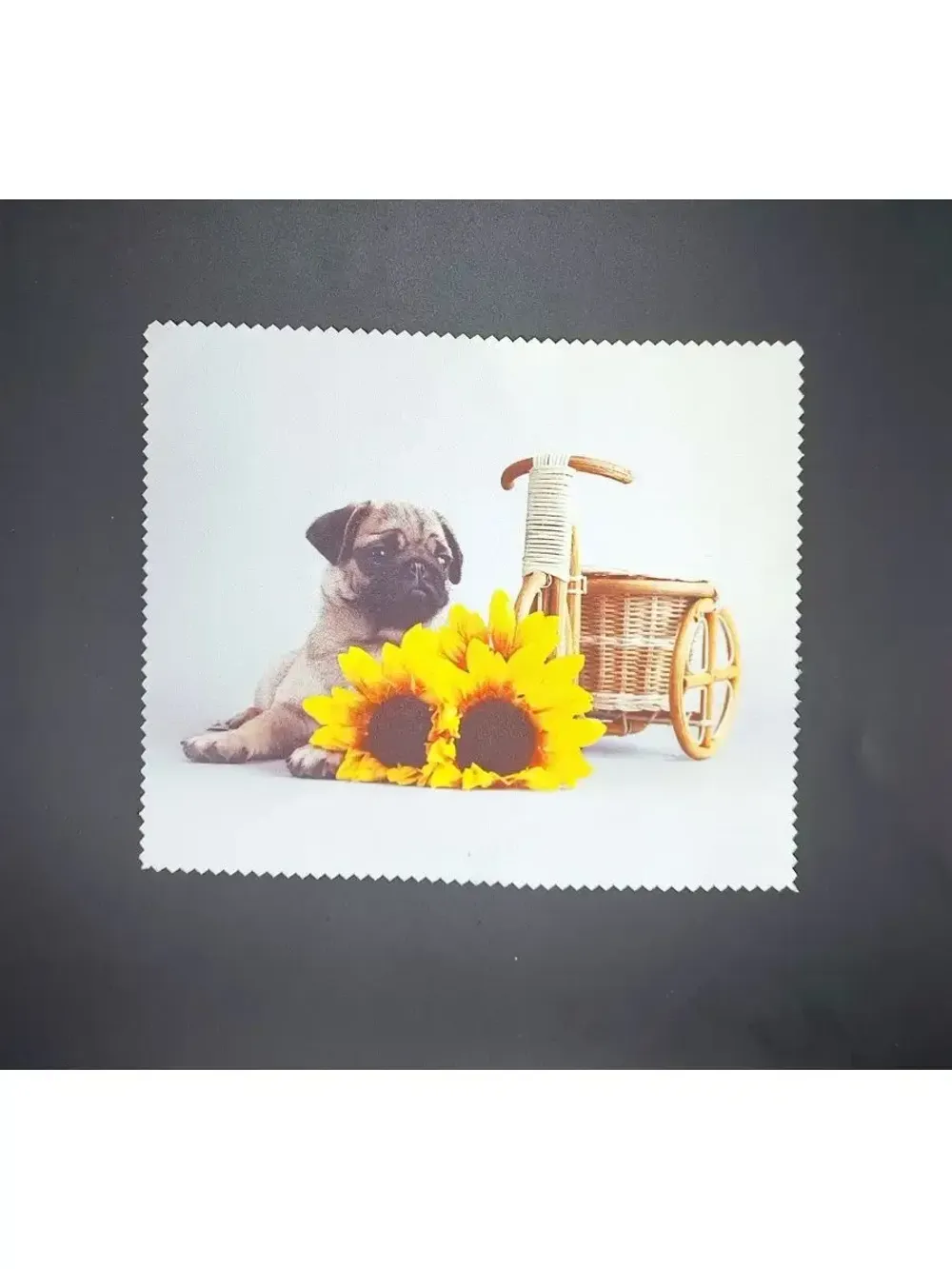 Футляр для очков