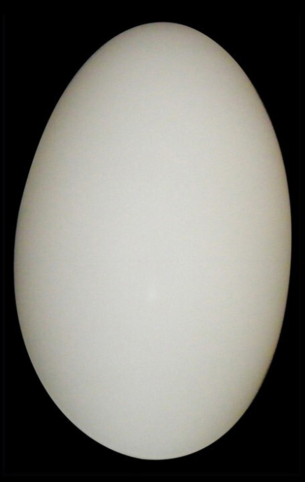Бра Lightstar 801600