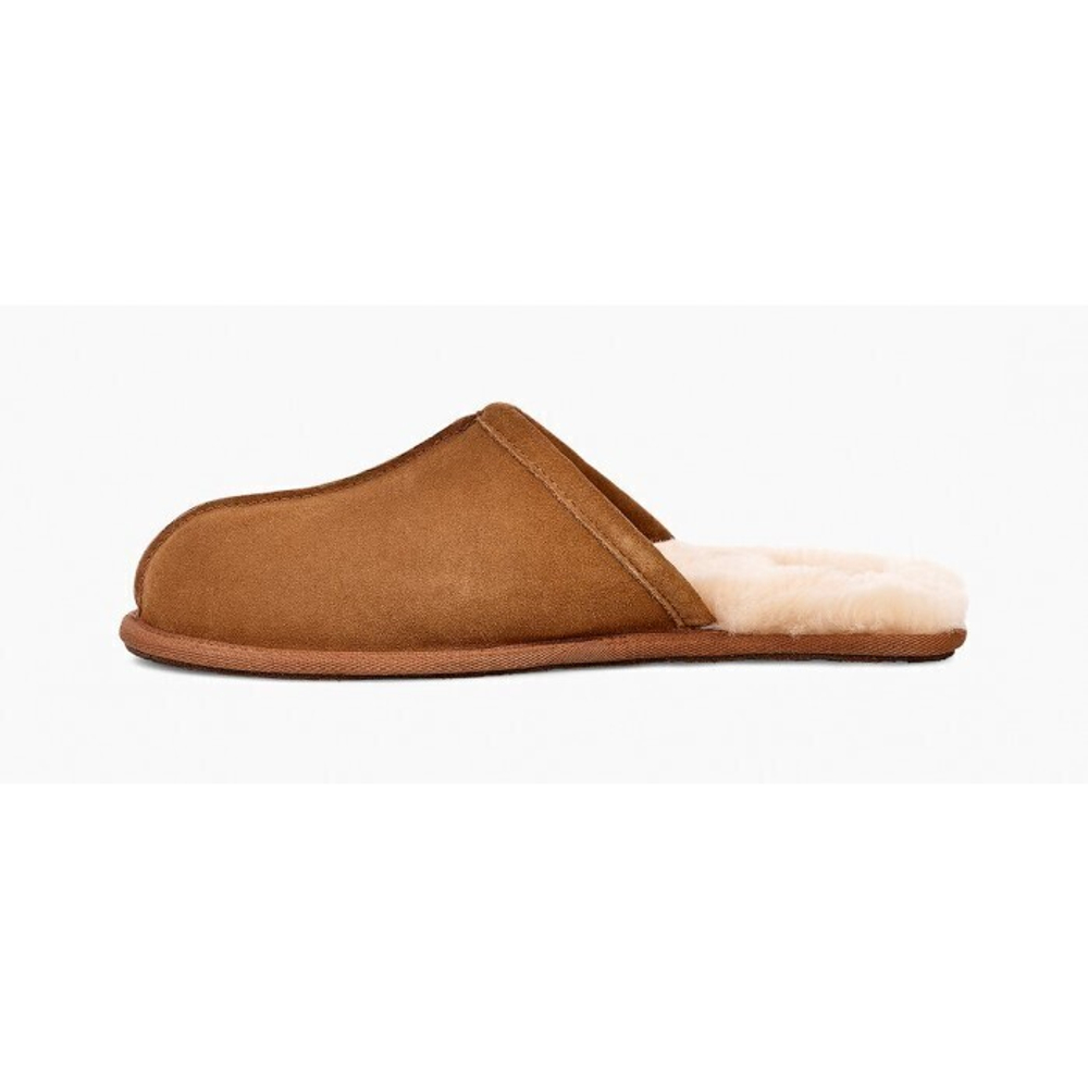 Ugg Men Scuff - Chestnut