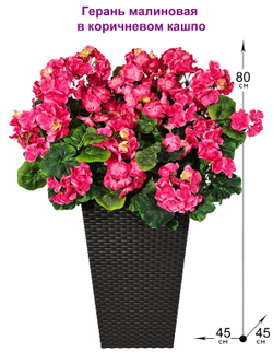 Герань малиновая 80см в высоком коричневом кашпо 51см ротанг
