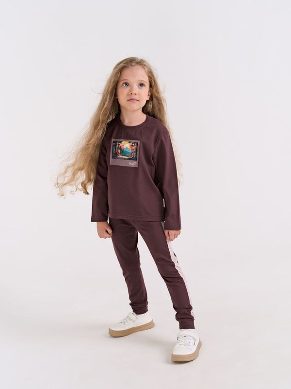 Брюки с лампасами 