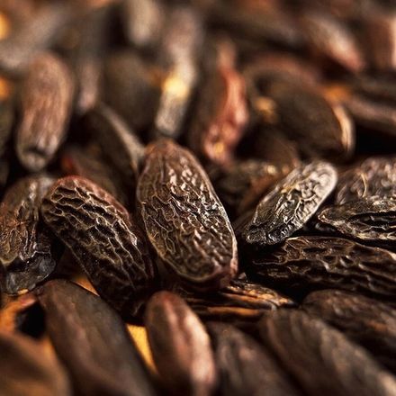 Бобы Тонка (Tonka bean)