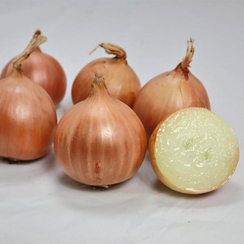 Центавр F1 семена лука репчатого (Гавриш)