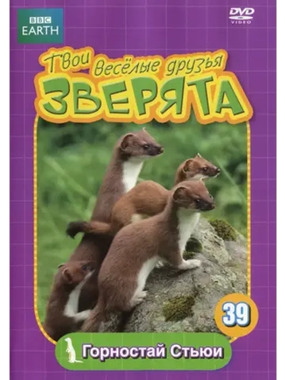 BBC: Твои веселые друзья зверята: Горностай Стьюи (КИНО USB)