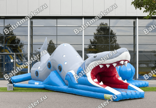 Коммерческий надувной батут "Тоннель акула"