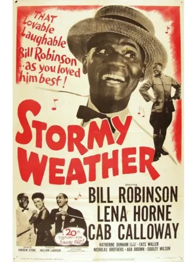 Дождливая погода (1943) (DVD-R)