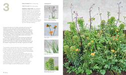 What Grows Together: Fail-Safe Plant Combinations for Every Garden