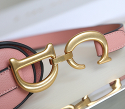 Christian Dior Saddle Bag 25 cm