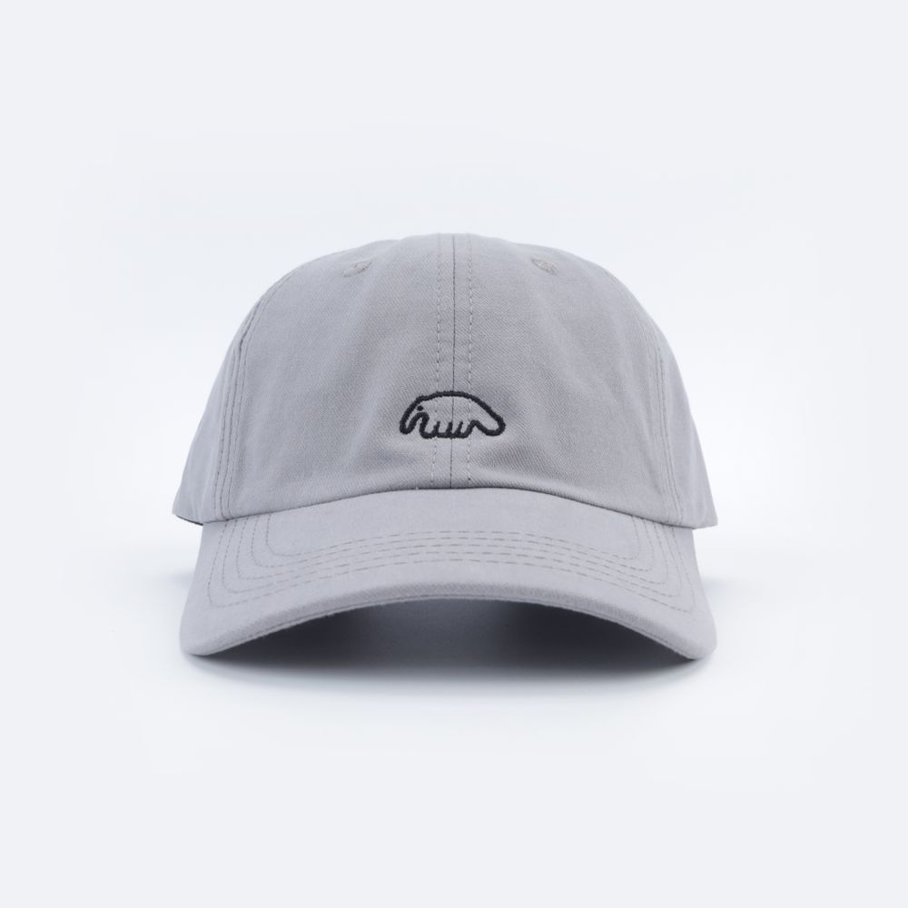 Кепка Anteater 6Panel (grey)