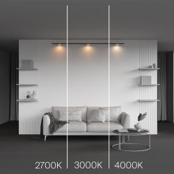 Трековый магнитный светодиодный светильник Maytoni Levity Zon TR189-1-12W3K-BW