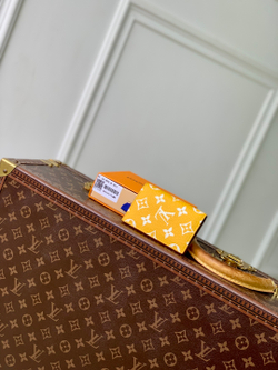 Louis Vuitton Pocket Organizer