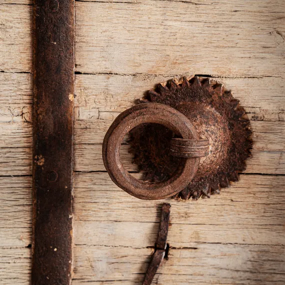 Тумба под ТВ PHALODI