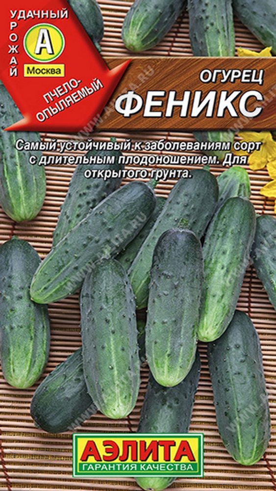 Огурец &quot;G. Феникс&quot; 20шт, Россия.
