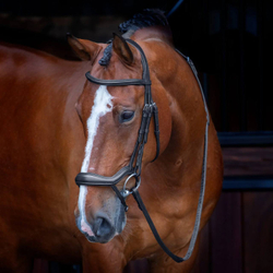 Оголовье трензельное Velociti RAPIDA Ergonomic Flash Bridle BLACK
