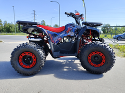 Квадроцикл PROMAX WILD 175 BASIC