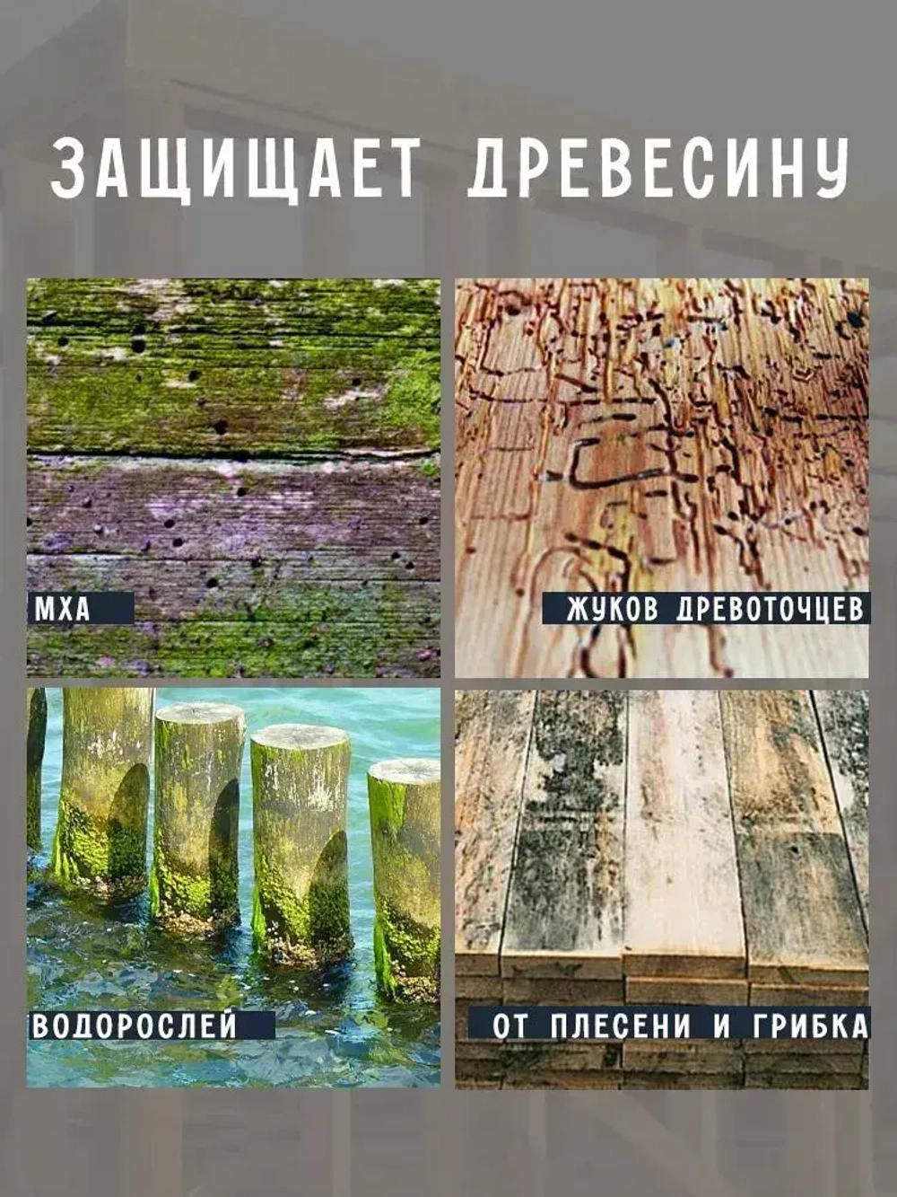 Антисептик для дерева невымываемый концентрат 1:9 Eternal Wood/ пропитка для дерева для наружных работ/ биозащитная обработка древесины от гниения 1л