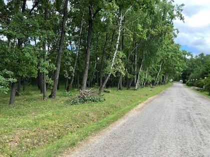 В «Романовском Парке» проводится уборка поваленных деревьев