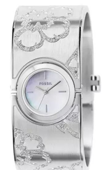 Наручные часы Fossil ES2492